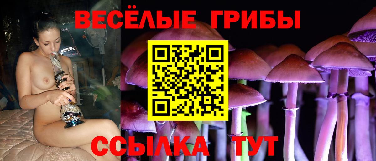Галлюциногенные грибы Psilocybine cubensis  Псилоцибиновые грибы GOLDEN TEACHER  Сыктывкар  Вход с VPN 